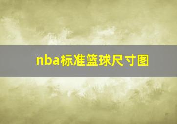 nba标准篮球尺寸图