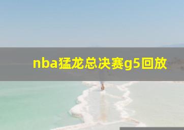 nba猛龙总决赛g5回放