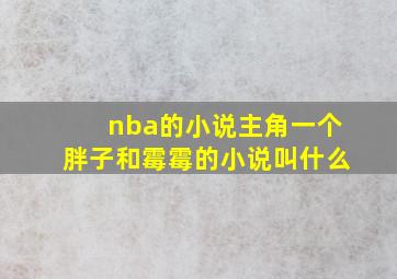 nba的小说主角一个胖子和霉霉的小说叫什么