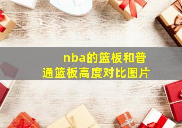 nba的篮板和普通篮板高度对比图片