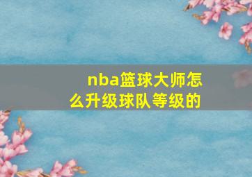 nba篮球大师怎么升级球队等级的