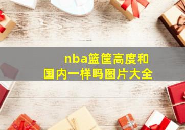 nba篮筐高度和国内一样吗图片大全