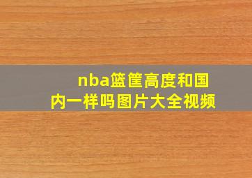 nba篮筐高度和国内一样吗图片大全视频