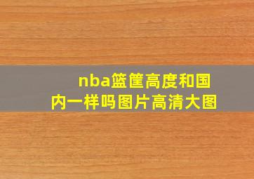 nba篮筐高度和国内一样吗图片高清大图