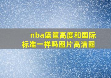 nba篮筐高度和国际标准一样吗图片高清图