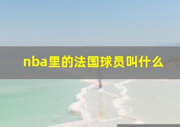 nba里的法国球员叫什么