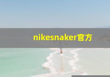 nikesnaker官方