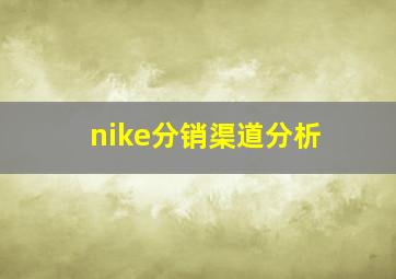 nike分销渠道分析