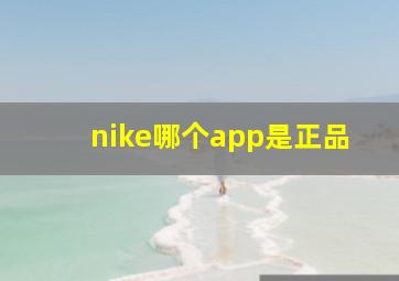 nike哪个app是正品