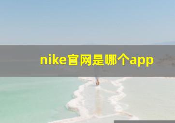 nike官网是哪个app