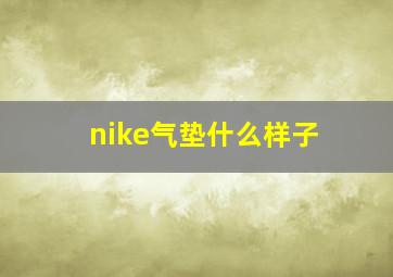 nike气垫什么样子