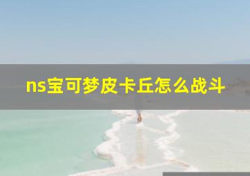 ns宝可梦皮卡丘怎么战斗