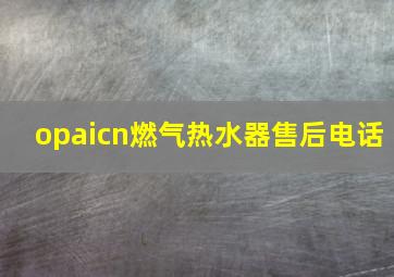 opaicn燃气热水器售后电话