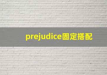 prejudice固定搭配