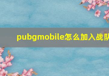 pubgmobile怎么加入战队