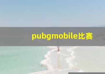 pubgmobile比赛