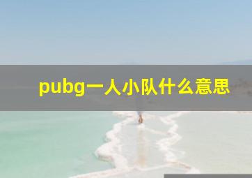 pubg一人小队什么意思