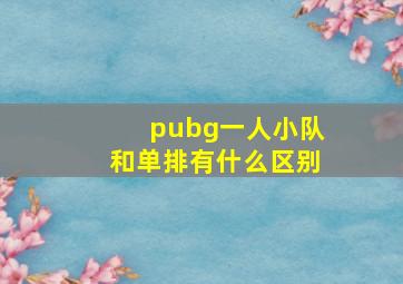 pubg一人小队和单排有什么区别