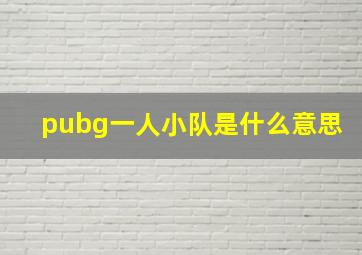 pubg一人小队是什么意思