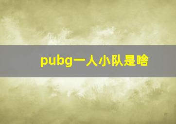 pubg一人小队是啥