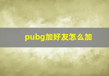 pubg加好友怎么加