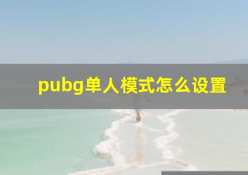 pubg单人模式怎么设置