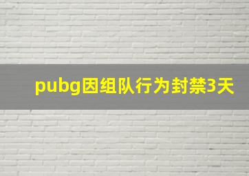 pubg因组队行为封禁3天