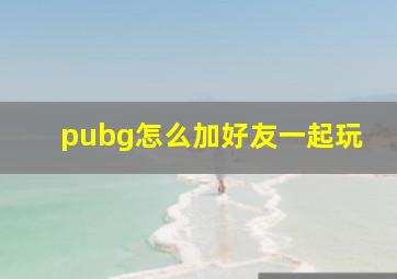 pubg怎么加好友一起玩