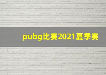 pubg比赛2021夏季赛