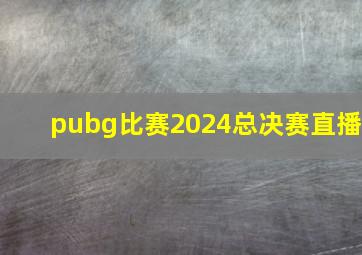 pubg比赛2024总决赛直播