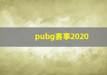 pubg赛事2020