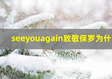 seeyouagain致敬保罗为什么