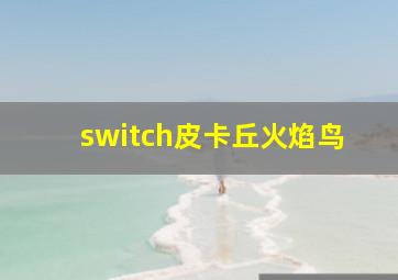 switch皮卡丘火焰鸟