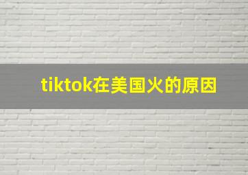 tiktok在美国火的原因