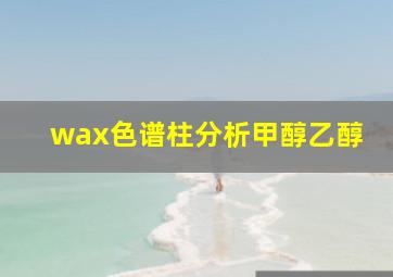 wax色谱柱分析甲醇乙醇