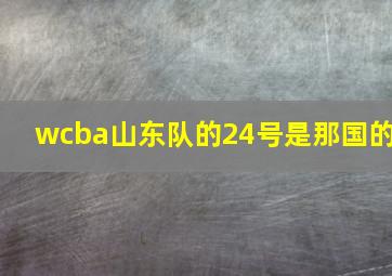 wcba山东队的24号是那国的