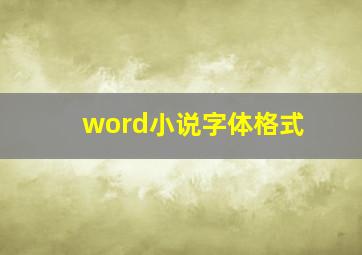 word小说字体格式