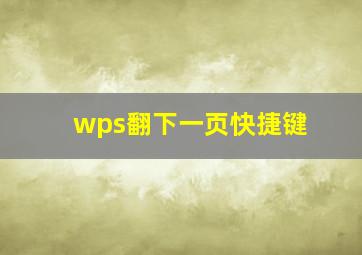 wps翻下一页快捷键