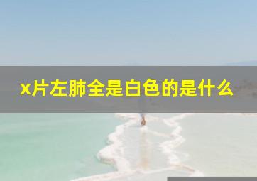 x片左肺全是白色的是什么