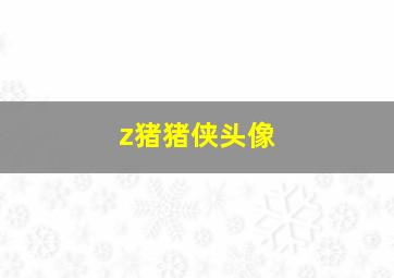 z猪猪侠头像