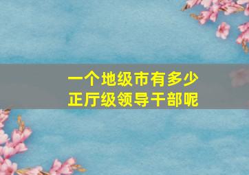 一个地级市有多少正厅级领导干部呢