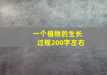 一个植物的生长过程200字左右