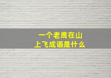 一个老鹰在山上飞成语是什么