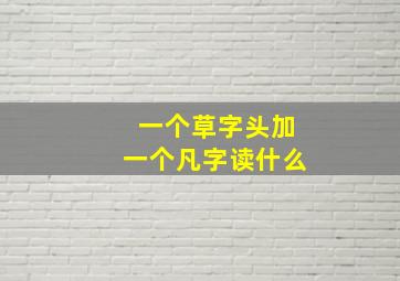 一个草字头加一个凡字读什么