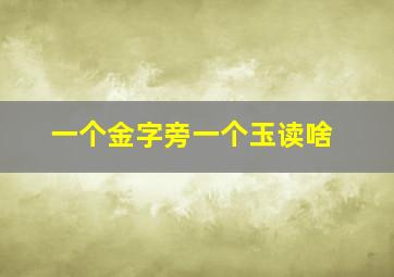 一个金字旁一个玉读啥