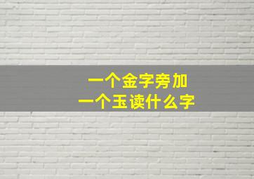 一个金字旁加一个玉读什么字