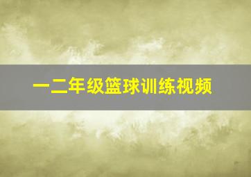 一二年级篮球训练视频