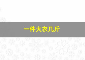 一件大衣几斤