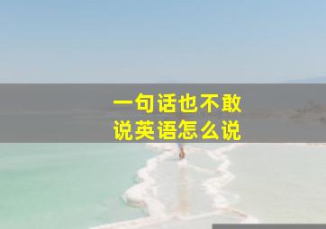 一句话也不敢说英语怎么说