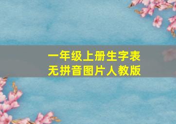 一年级上册生字表无拼音图片人教版